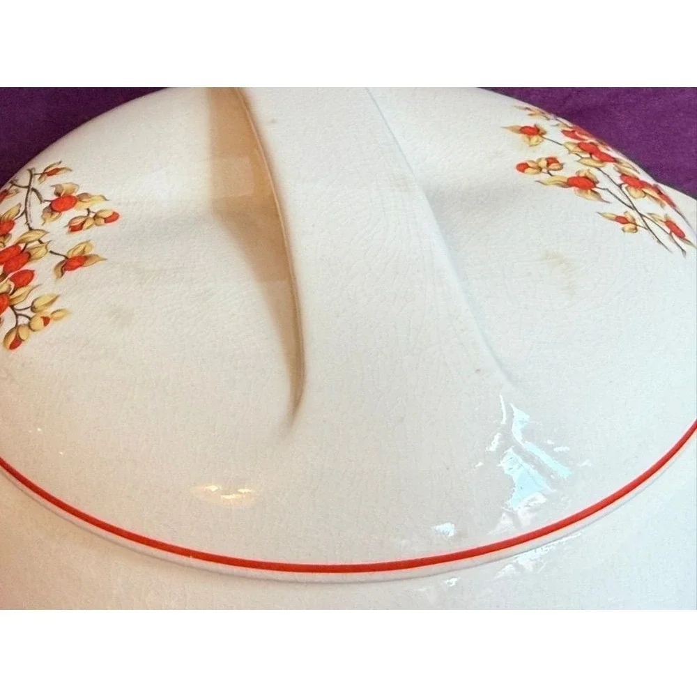 Vtg Universal Cambridge Bitter Sweet Berries Oven Proof Covered Casserole Pot